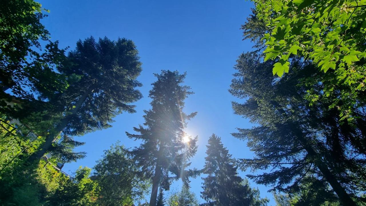 Rezydencja Barrettski Wisła Exterior foto